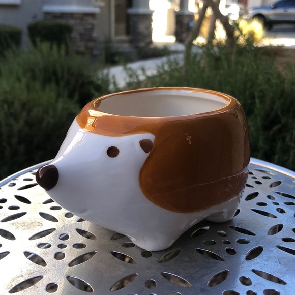 Harvey the Hedgehog Small Ceramic Planter Pot Decor & 2 Pairs of Socks Gift Set - Picture 2 of 14